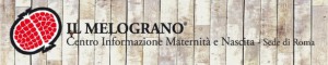 logo-attività-singole-legno-knewscrop-615x122