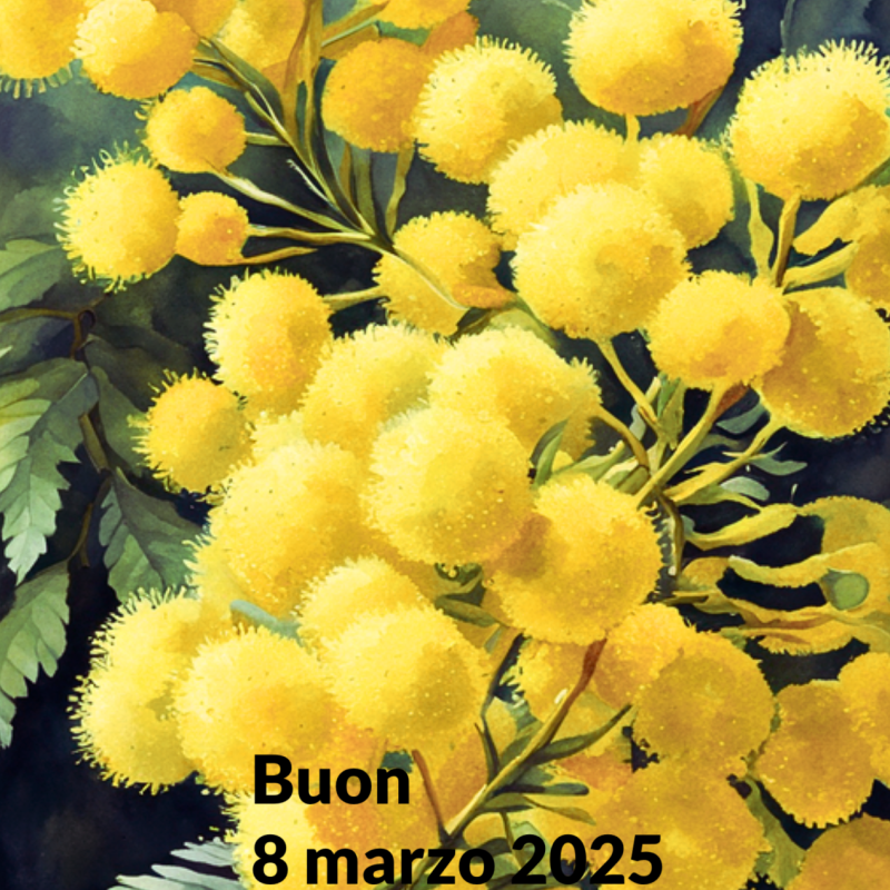 mimosa pixabay grande